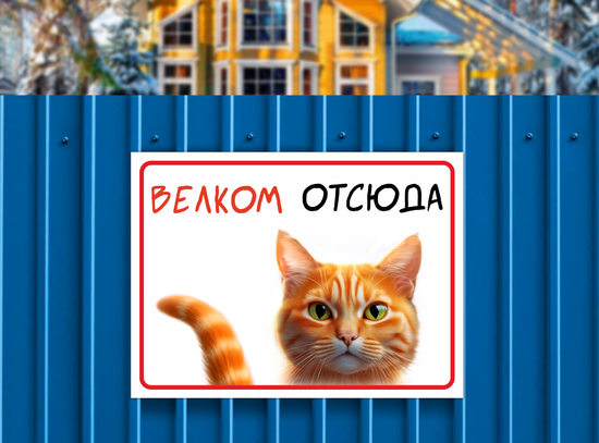 Табличка с котом Велком отсюда